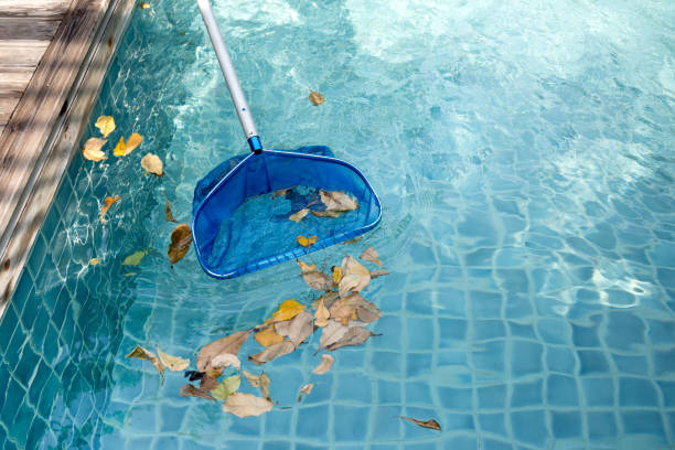 skimming leaves from pool